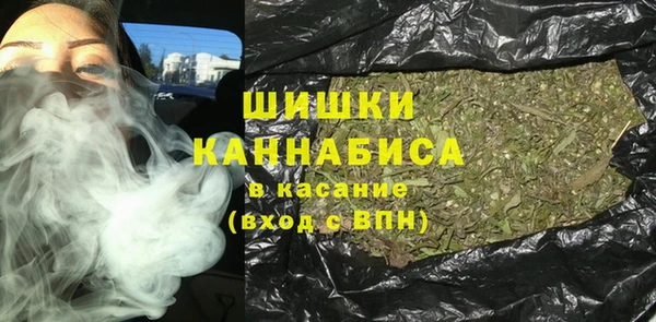 ПСИЛОЦИБИНОВЫЕ ГРИБЫ Иннополис