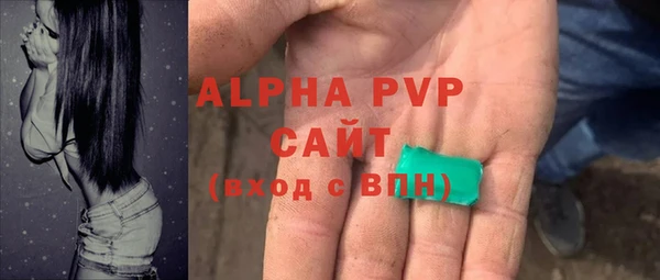 ПСИЛОЦИБИНОВЫЕ ГРИБЫ Иннополис