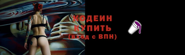 прущие крисы Инта