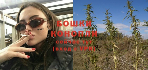 прущие крисы Инта