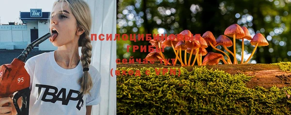 гашишное масло Инсар