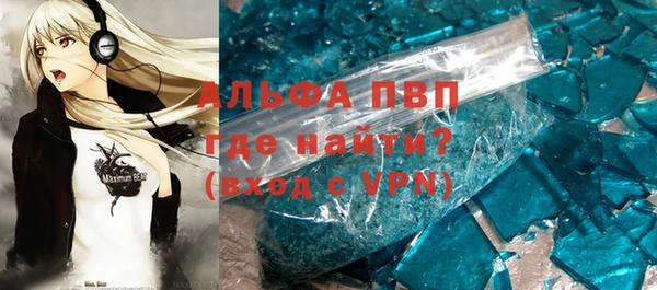 ПСИЛОЦИБИНОВЫЕ ГРИБЫ Иннополис