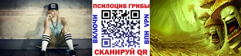 Купить  Старая Русса  Псилоцибиновые грибы Psilocybe 